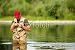 Wallmonkeys Peel and Stick Wall Decals - Fly Fishing - Removable Graphic