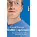 Wolkenspringer: Von einem genialen Autisten lernen