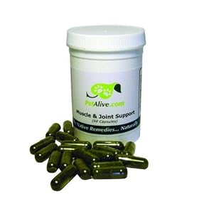 PetAlive Muscle and Joint Support for Pet Arthritis, Rheumatic Conditions and Hip Dysplasia (60 Caps)