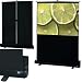 Draper Traveller - Projection screen - 55 in - 16:9 - Fiberglass Matt White
