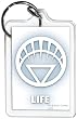 Green Lantern Blackest Night Life Lucite Key Chain