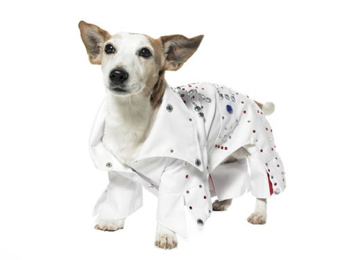 Elvis Puppy Pet Halloween Costume Small