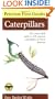 Peterson First Guide to Caterpillars of North America (Peterson First Guide (R))