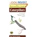 Peterson First Guide to Caterpillars of North America (Peterson First Guide (R))