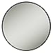Zadro Compact 15X Magnification Travel Lightweight Portable Suction Cup Makeup Spot Mirror, Black, Black Finish