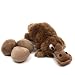 Kyjen Egg Babies Dog Toy, Original Series, Platypus