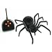 Animal Planet Radio Controlled Black Widow Spider