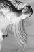 Wallmonkeys Peel and Stick Wall Decals - Goat with Long Hair on Chin - Removable Graphic