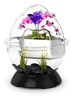 BioBubble Wonder Bubble Tunnel Kit, Black

