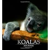 koalas zen in fur bw edition