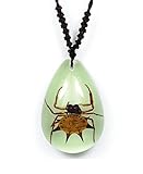 Teardrop Glow In The Dark Necklace w/ REAL Spiny Orbweaver Spider