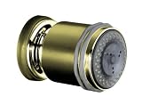 KOHLER MasterShower Two-Way Bodyspray, Vibrant French Gold #8510-AF