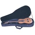Kinsman HFC1 - estuche para guitarra