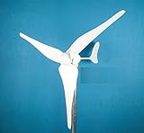 ALEKO® WM450 450W 450 Watt 12 Volt Wind Turbine Residential Wind Generator