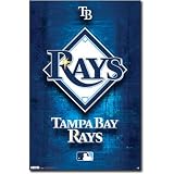 (22x34) Tampa Bay Rays Logo 2011 Sports Poster Print
