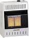 Ace Pro Com Mn100tpa Two Plaque Natural Gas Wall Heater with Auto Thermostat 10000 Btu