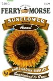 Ferry-Morse Annual Flower Seeds 1157 Sunflower - Mammoth (Grey Stripe) 7 Gram Packet