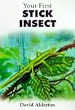 Your first stick insect