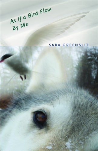 As If a Bird Flew By Me: A Novel