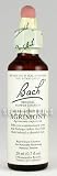 Agrimony [20 mL] Original Bach Flower Essences