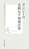 ガンジーの危険な平和憲法案 (集英社新書 505A)