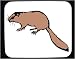 Decorated Mouse Pad with gerbil, brown, fur, rodent, tail