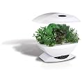 AeroGarden Garden System and Herb Kit - White