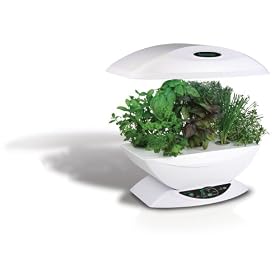 AeroGrow AeroGarden with Gourmet Herb Seed Kit