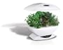 AeroGarden 2101-00W Classic 7-Pod with Gourmet Herb Seed Kit, White