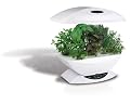 AeroGarden Garden System and Herb Kit - White