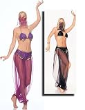 FREE SHIPPING - Harem Dancer - Womens Sexy Belly Dance Costume Lingerie Outfits by 3WISHES.COM