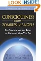 Consciousness from Zombies to Angels: The Shadow and the Light of Knowing Who You Are