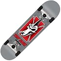 Birdhouse Silver Series Tony Hawk Ptero Skull Complete Mini Skateboard