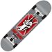 Birdhouse Silver Series Tony Hawk Ptero Skull Complete Mini Skateboard