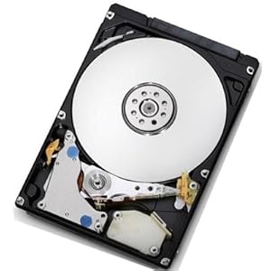 Amazon.com: HITACHI 0F10381 Deskstar 7K1