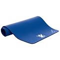 Gaiam The Biggest Loser Fitness Mat