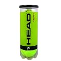 Head Team Tennisball 3er Tube, gelb