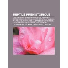 Reptile Prhistorique: Dyrosauridae, Araeoscelidia, Fosse Temporale, Dimtrodon, Gorgonopsien, Archosauria, Titanoboa Cerrejonensis