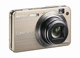 Sony Cybershot DSCW170/G 10.1MP Digital Camera with 5x Optical Zoom with Super Steady Shot (Gold)