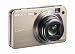 Sony Cybershot DSCW170/G 10.1MP Digital Camera with 5x Optical Zoom with Super Steady Shot (Gold)