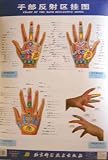 Chart of the Hand Reflective Zones (Mandarin Chinese and English Edition)