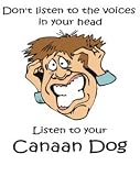 Don't listen to the voices in your head Listen to your Canaan Dog Plush Teddy Bear with WHITE T-Shirt