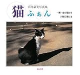 猫ふぁん―中村命美写真集