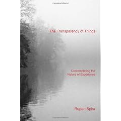 The Transparency of Things