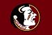 Florida State University Seminoles Indoor/Outdoor Floormat