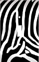 Zebra Skin Print Decorative Switchplate Cover