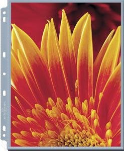 Multi-purpose 8½x11 letter size archival print protector pockets sold in 25s - 8.5x11