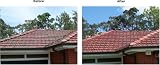 Wet And Forget Moss, Mold, And Mildew Control