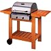 2 Burner Aussie Gas Stainless Steel Barbeque BBQ