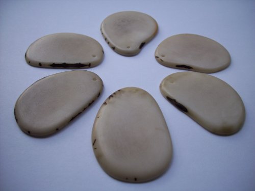 Tagua Nut Thin Slices Natural Large Size Package of 6